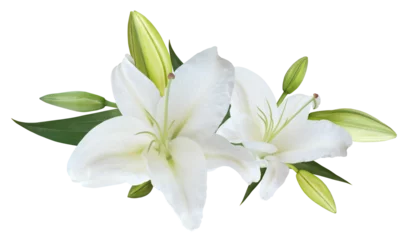 Foto auf Acrylglas White Lily flower bouquet isolated on transparent background © nunawwoofy