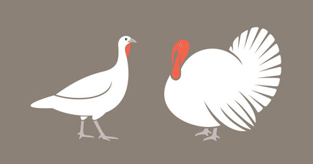 Turkey logo. Isolated turkey on white background. Bird