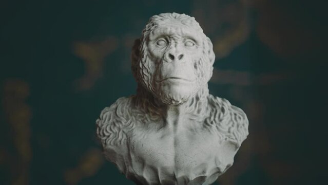 Human ancestor stone sculpture. Neanderthal, primal man, ape man. 3D animation.