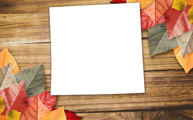Overhead view of paper with autumn leaves