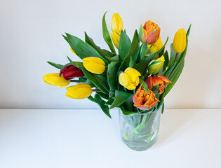 wiosenne kwiaty żółte i czerwone tulipany w szklanym wazonie z wodą stojącym na białym blacie