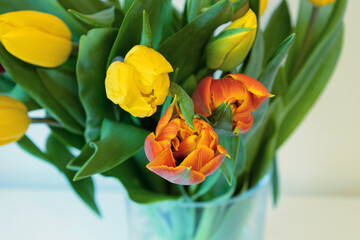 zbliżenie na żółte i czerwone tulipany, bukiet