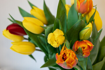 zbliżenie na żółte i czerwone tulipany, bukiet