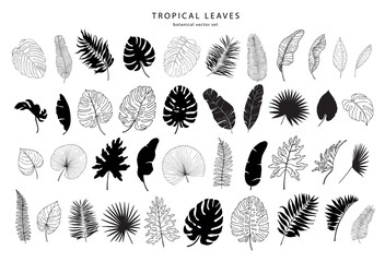 Set of tropical leaves silhouettes and line art elements. Vector illustration. - obrazy, fototapety, plakaty