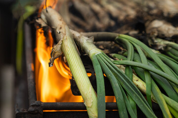 Detail of Calsots Barbecue, typical traditional Mediterranean food