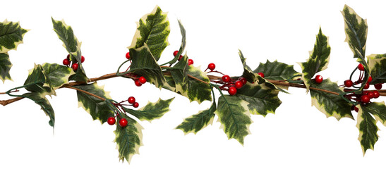 Christmas holly with red berrys 