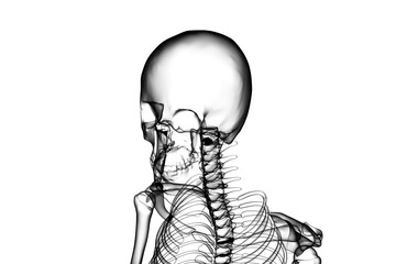 Digital composite of skeleton 