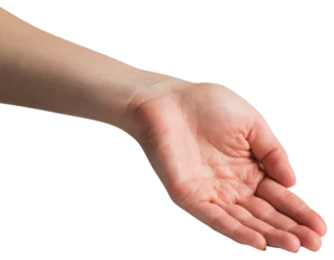 Muurstickers Hand presenting © vectorfusionart