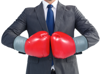 Businessman with boxing gloves