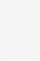 Blank graph paper