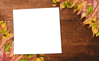 Directly above shot of paper with autumn leaves