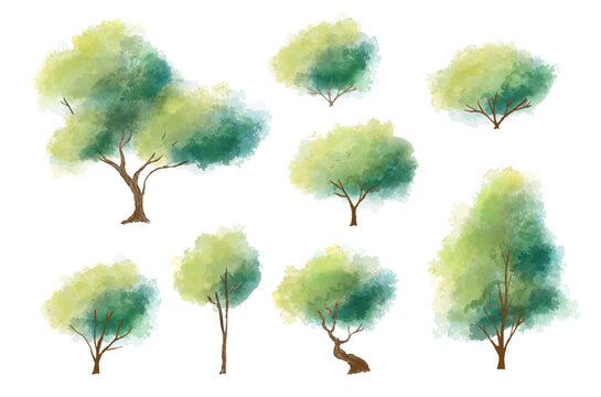 Watercolor tree vector in side view isolated on white background for landscape plan and architecture layout drawing, elements for environment and garden,blossom grass,flower blooming, tropical