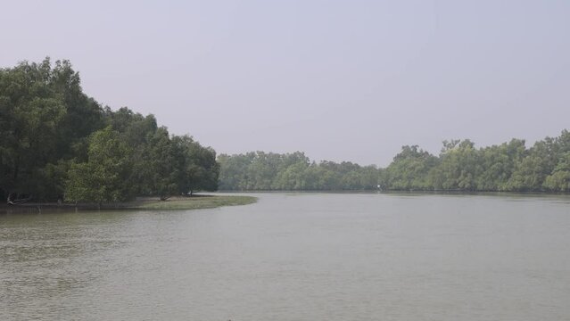 Sundarbans National Park.4k fottage without editing.this video was taken from Sundarbans,Bangladesh.