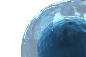Ovum on white background