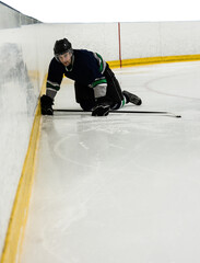 Player playing ice hockey
