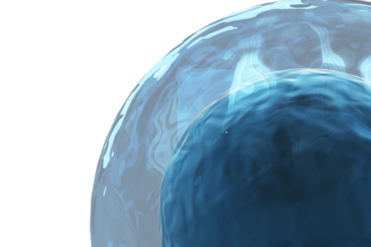 Ovum on white background