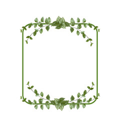 Rectangular flower arrangement. Green leaves isolated on white background.  Festive flower arrangement. Border of green branches. Floral frame. Copy space.
