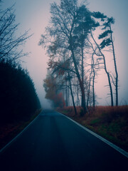 Asphalt road during foggy conditions