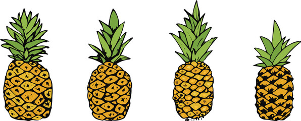 Illustration of pineapple fruit