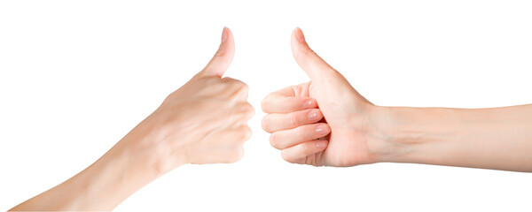 Woman hands showing thumb up gesture isolated png with transparency