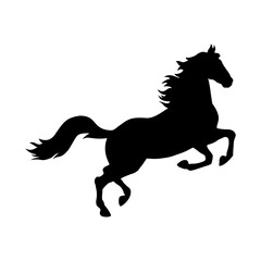 Obraz na płótnie Canvas vektor kuda