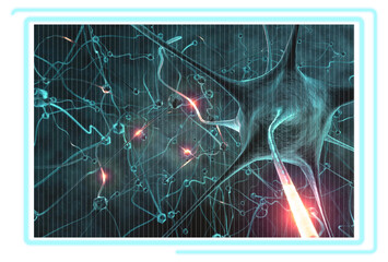 Digital image of nerve cells