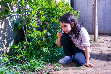 Elementary school girl crouching examining leaves with magnifying glass