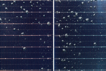 Solarmodul mit Regentropfen