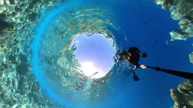 Woman snorkeling in full body suit as sun protection in tropical sea over corals in coral garden in reef of Maldives island in 360 degree video camera mode