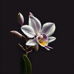Obraz na płótnie Canvas Orquídea & Plantas - Generative AI 