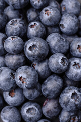 Delicious fresh blueberries on a textural black concrete background