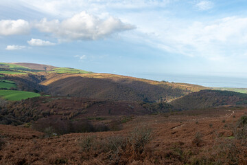 Fototapeta premium Landscape photo of the autumn colours at Horner woods in Somerset