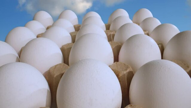 panorama of a package with two dozen white eggs against a blue sky with clouds