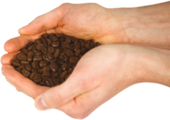 Close up view of hands showing coffee beans