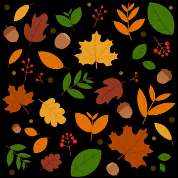 Cute Set of Autumn Leaves	