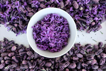Obraz na płótnie Canvas In Turkey harvested flowers of crested lavender (Herba Lavandualae stoechas) ready for further processing. The purple-colored bracts are cooked into jam, the flowers are dried as tea