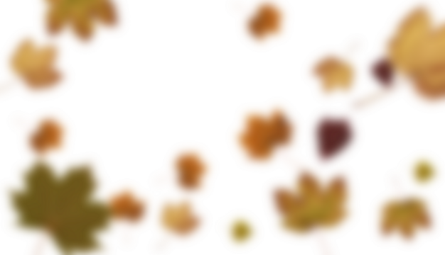 Blurry maple leaves
