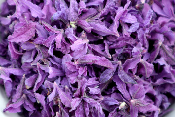 In Turkey harvested flowers of crested lavender (Herba Lavandualae stoechas) ready for further...