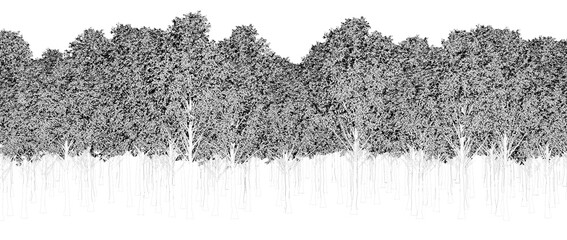 trees in the forest isolated on white background, outline illustration, cg render