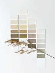 Concept: nature inspires colors. Samples of paints  with dried grass on a white background.  Neutral beige and gray color palette for decorating and design. Natural pastel colors for home renovation - obrazy, fototapety, plakaty