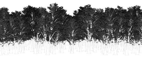 trees in the forest isolated on a transparent background, outline illustration, cg render