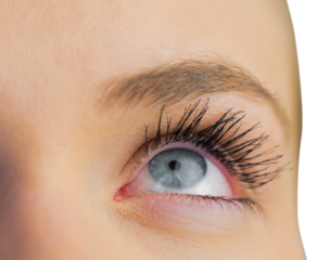 Close up of female blue eye