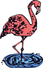 Flamingo standing in puddle