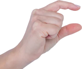 Rolgordijnen Close-up of gesturing hand © vectorfusionart