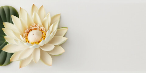 Lotus flowers isolated on white background. Happy Mother's Day, Birthday, anniversary or Valentine's Day concept background. Generative AI