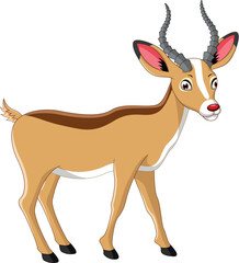 deer cartoon isolated on white