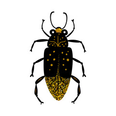 Black and gold glitter bug beetle, celestial vector fairy insect golden art illustration