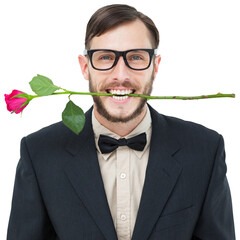 Obraz premium Geeky hipster holding rose between teeth