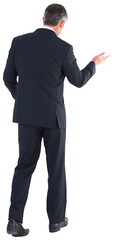 Rear view of businessman presenting something over white background