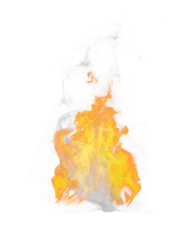 Photo sur Plexiglas Flamme Burning flame with smoke 